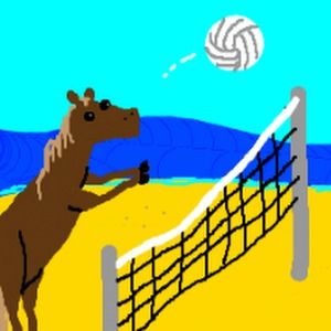 Meet your Posher, Kylee